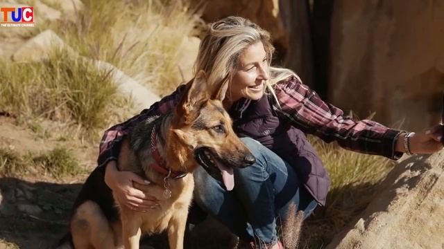 8 Things You Should Not Do To Your German Shepherd | German Shepherd Knowledge | TUC смотреть онлайн