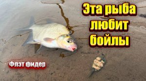 Рыбалка на ФЛЭТ ФИДЕР ловля весной на флэт фидер