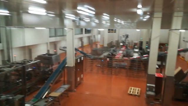 Линия упаковки колбасы (завод "Черкизово" в Кашире) смотреть онлайн