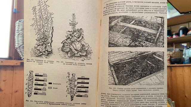 Чтение. Картофель, капуста и... спаржа смотреть онлайн