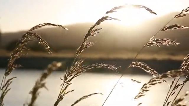 Джозеф Мерфи, Практика смотреть онлайн