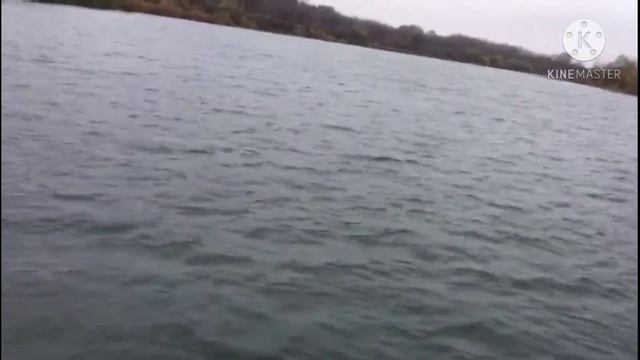 Сом 10кг на тролинг? рыбалка на сома, рыбалка на Дону, тролинг, воблер Yo Zuri Crystal Minnow 90 F смотреть онлайн