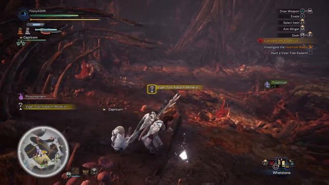 Monster Hunter World: Iceborne | Viper Tobi-Kadachi Gameplay смотреть онлайн