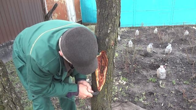 Ремонтные Комбинации