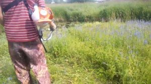 Триммер Stihl fs 55 в работе.