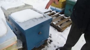 Анатолий Стрелец про летки_ На одну гнездовую рамку с пчелой - 1кв.см летка.mp4