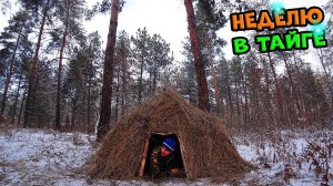 Настоящее выживание в лесу без нечего. Двое суток в лесу  Выживание в лесу зимой.