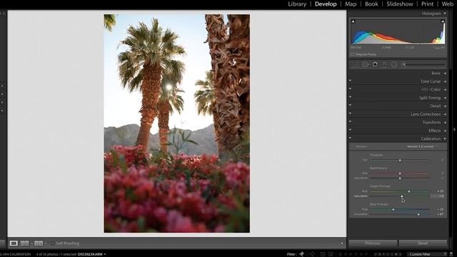 How to use CAMERA CALIBRATION in Lightroom смотреть онлайн