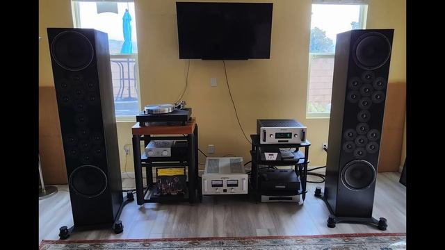 WOWSA! Audiophiliac Viewer Systems GO WILD! смотреть онлайн