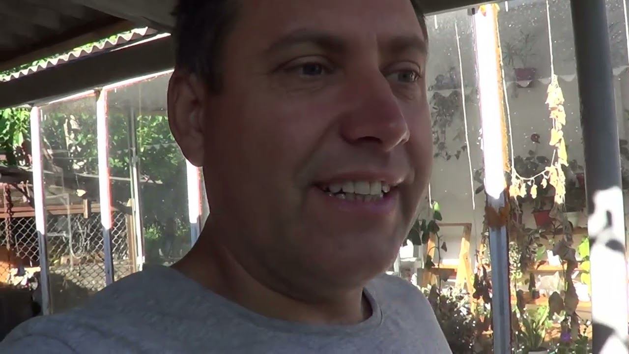 ПУШИСТИК ПОДРОС / ВЫБИРАЮТ ПЛАТЬЯ смотреть онлайн