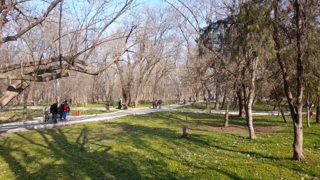 Махачкала зимой. Травка зеленеет солнышко блестит смотреть онлайн