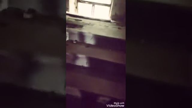 Абхазия заброшенный Зимний театр в Гагре смотреть онлайн