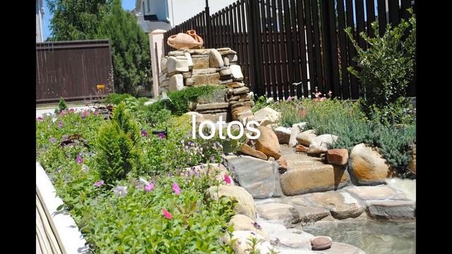 Геленджик, lotos: обзор, цены, фото, отзывы. смотреть онлайн