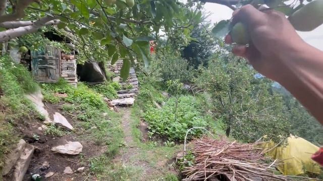 МАНАЛИ, ДОЛИНА БОГОВ. ПУТЕШЕСТВИЕ БЕЗ ЯЗЫКА. #india #manali смотреть онлайн