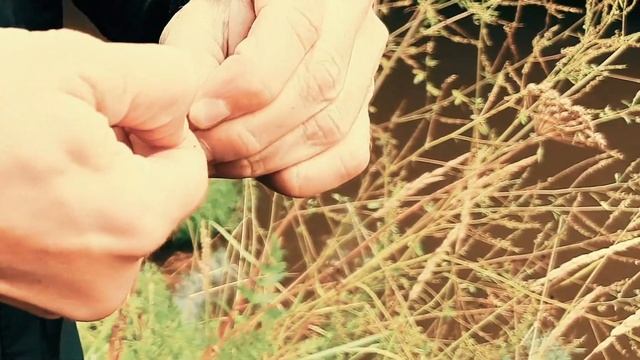 Рыбалка на Пахре 2020 смотреть онлайн