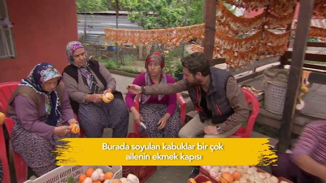 What does orange peel do? Portakal kabuğu ne işe yarar смотреть онлайн