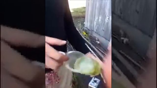 Эксперимент по растворению Энвиро Табс в 76 бензине смотреть онлайн