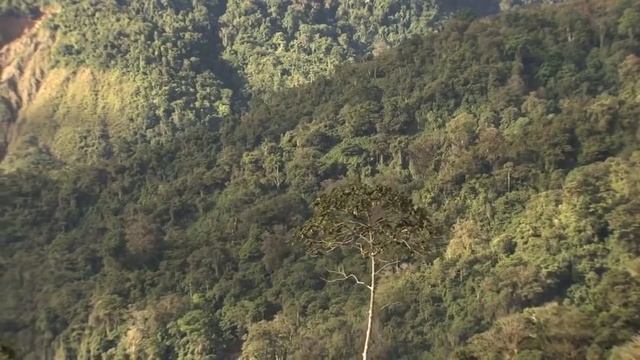 Пятничная проповедь. г. Стерлитамак. Мухаммад хазрат. Ночь перенесения (1) 5/7 смотреть онлайн