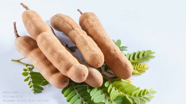 Nikon D60 Sample Images смотреть онлайн