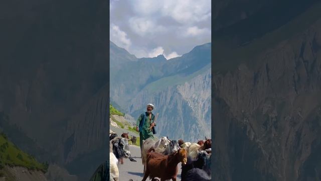 Kashmir🥰🥰🥰 смотреть онлайн