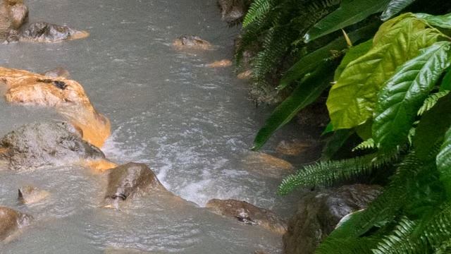 Sony Alpha A7_ Body смотреть онлайн