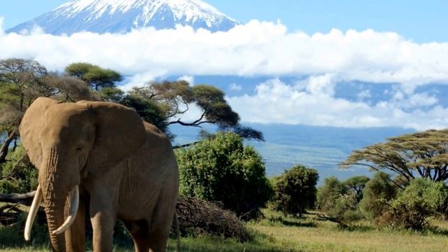 Гора Килиманджаро – самая высокая вершина в Африке смотреть онлайн