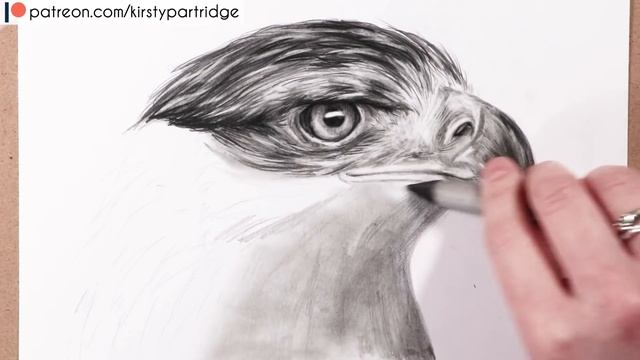 How to Draw Feathers: Drawing a Realistic Eagle Head смотреть онлайн