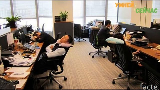 Почему Японцы могут спать на Работе, а вот Ты Нет! смотреть онлайн