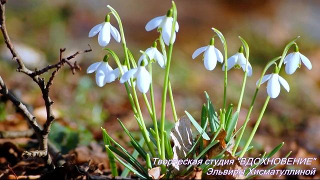 весна 2018 смотреть онлайн