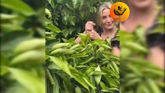 Кэмерон Диас - обрела свое амплуа в 48 лет / Cameron Diaz - took on her role at 48 смотреть онлайн