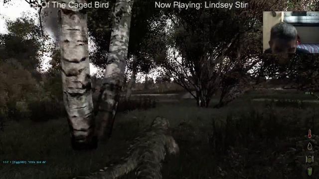 Dayz Kamikaze Little Bird + Mk12 Kill смотреть онлайн