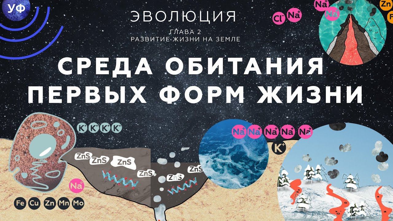 5. Среда обитания первых форм жизни. Развитие жизни на Земле - 10 - 11 класс смотреть онлайн