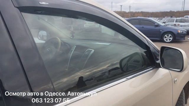 Цены на кроссоверы и внедорожники на одесском авторынке «Куяльник» (Яма) смотреть онлайн