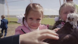 Вольер для птиц