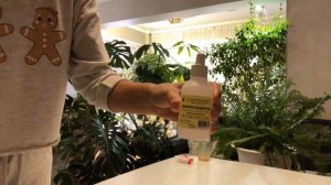 ПАПОРОТНИК КОМНАТНЫЙ УХОД В ДОМАШНИХ УСЛОВИЯХ 4К