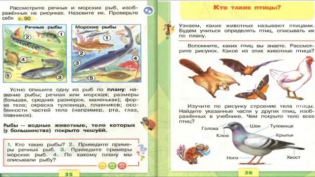 Кто такие птицы? Окружающий мир. 1 класс, 1 часть. Учебник А. Плешаков стр. 36-37 смотреть онлайн