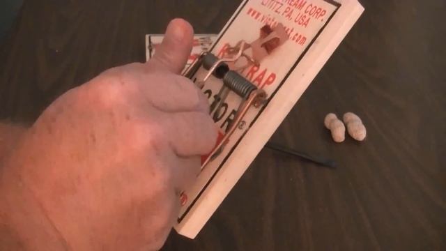 How To Set A Rat Trap - Part 1 смотреть онлайн