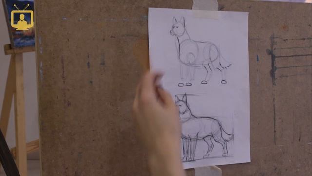 Как нарисовать животное. Уроки рисования / VideoForMe - видео уроки смотреть онлайн