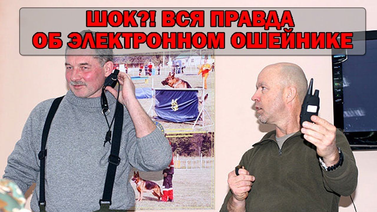 Барт Беллон об электронных ошейниках смотреть онлайн