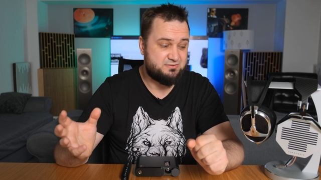 Aune Flamingo DAC & Headamp Review - The Musical Box