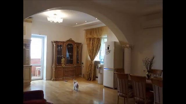 Продается дом общей площадью 650 кв.м. Великолепный проект! Все коммуникации! смотреть онлайн