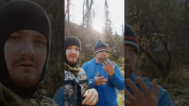 финал готов тайга-дом как тихо погода. #deaf #глухих смотреть онлайн