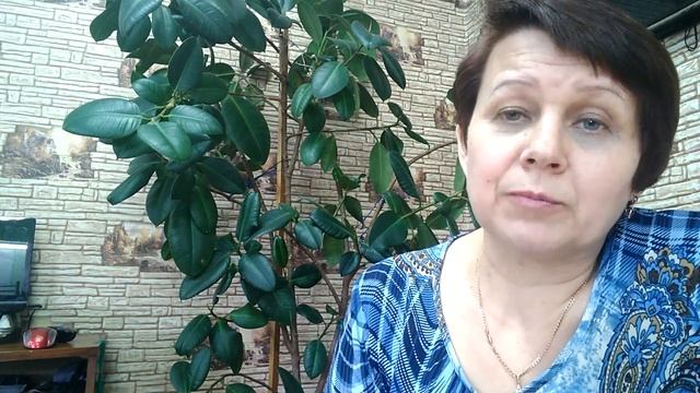 Стихотворение "В день Христова Воскресения." смотреть онлайн