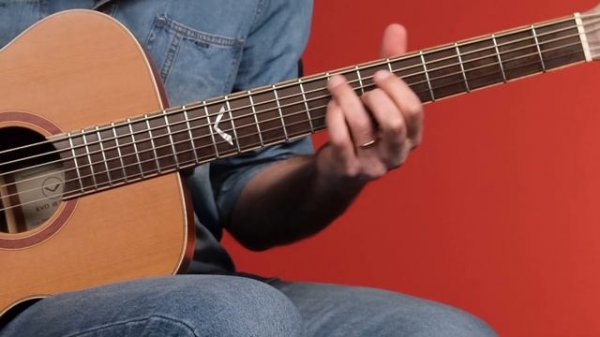 Eko Guitars | EVO A350e Baritone - Chitarra Acustica Baritona