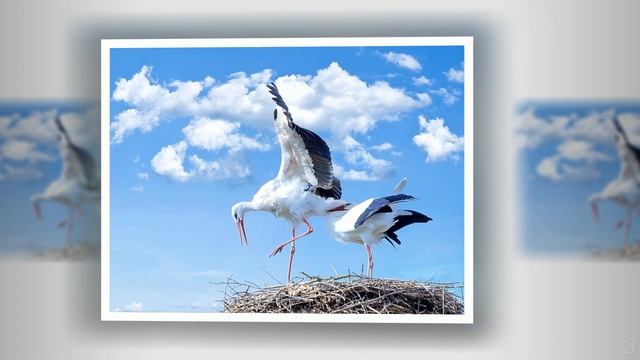 Как прекрасны вверху небеса 1 - Христианские песни - 456 смотреть онлайн