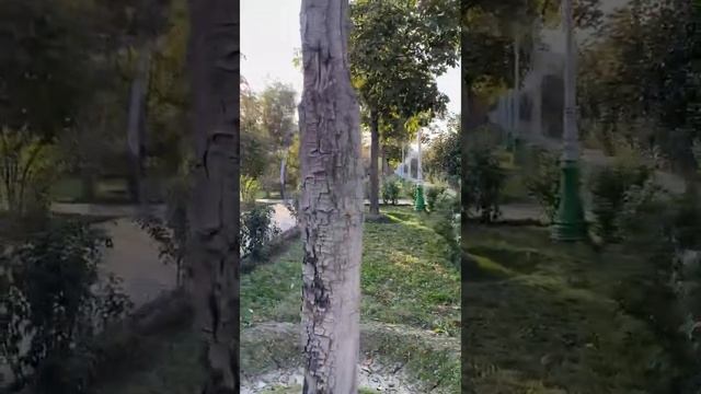Прогулка по парку Рудаки .Город Душанбе Таджикистан смотреть онлайн