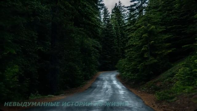 ?Истории из жизни ?Должен ли муж обеспечивать жену в наш век равенства и свободы? ?Аудиорассказы смотреть онлайн
