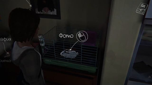 LIFE IS STRANGE: EPISODE 2 | ДВА КИТА | #1 смотреть онлайн