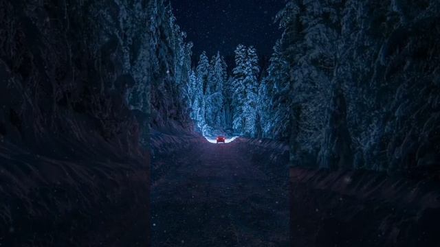 Зимняя музыка для сна. Путешествие по Тайге зимой. Космическая музыка смотреть онлайн