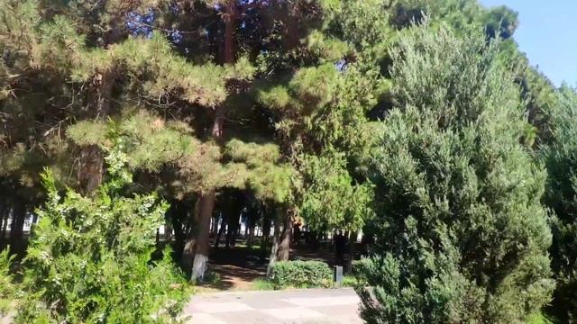 Рамзан Кадыров Лучший вечер - проведенный в кругу родных. Ахмат сила Аллаху Акбар . чеченский ловза смотреть онлайн